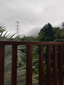 Deep Forest Posadas Ecoturisticas