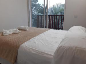 Deep Forest Posadas Ecoturisticas