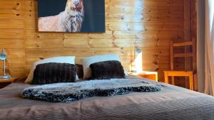 Chalets Chalet Martine : photos des chambres