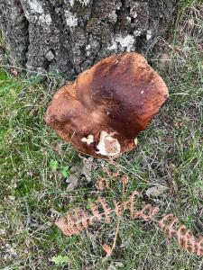 Casa Rural Lucía es una casa rural amplia con pat