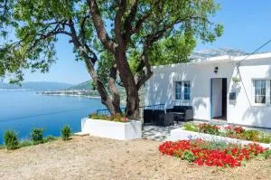 House Deja Blue - Borje