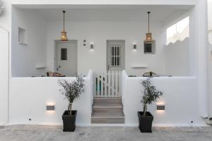 Anemela studio basic