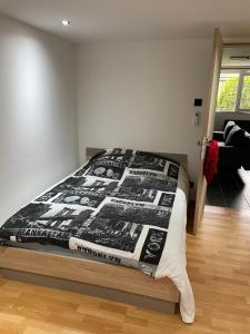 Appartements Charmant logement avec cheminee,cour,wifi,Netflix : photos des chambres