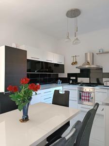 Penthouse in the castle