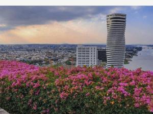 Ecusuites Room 44 bellini Gye Santa Ana