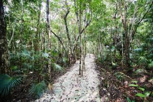 Tribu 306 Boho Design Gem in the Heart of Tulum w rooftop