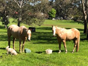 Rockridge Farm