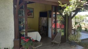 Hibisco Rosa Aluguéis