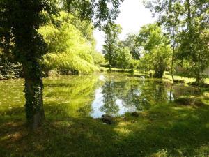 Maison de campagne charmante avec jardin au Château de Vesset - FR-1-489-64