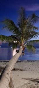 Tea Moon Beach House