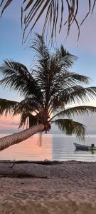 Tea Moon Beach House