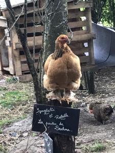 Maisons de vacances PAUSE NATURE Gite avec PISCINE CHAUFFEE, SPA PRIVATIF et arrivee autonome : photos des chambres