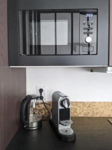 Bel appartement garecentre-ville de Grenoble