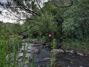 Cango Retreat Lovers nest