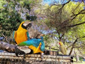 Cango Retreat Lovers nest