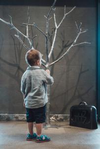 Boutique Hotel Townhouse 27