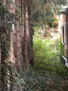 Appartements Logement de charme au coeur de la nature : photos des chambres