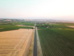 Linger Longer Vineyard
