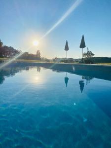 Maisons de vacances Domaine de Cazal - Gite 2 pers avec piscine au coeur de 26 hectares de nature preservee : photos des chambres