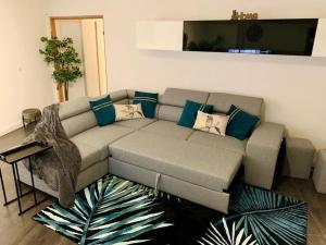 Appartements Grand appartement 2 chambres 5 pers max, vue panoramique avec parking : photos des chambres