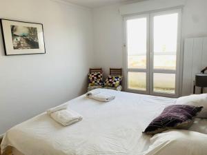 Appartements Grand appartement Vue sur mer a Cabourg : photos des chambres