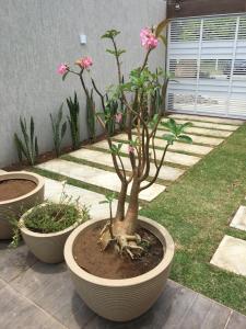 Casa de Praia Tamandare