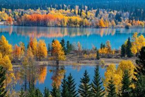Sunny Tranquil Woods Turret in Falcon Crest Lodge