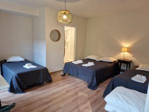 Hotels Hotel Patricia - Strasbourg Hyper Centre : photos des chambres