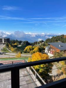 Appartements Les Balcons du Recoin - 2 pieces 4 personnes au pied des pistes : photos des chambres