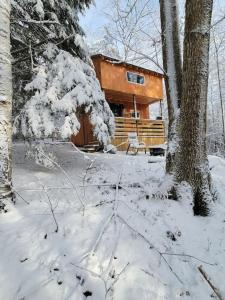Vana Kuti-cabin in the woods