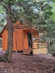 Vana Kuti-cabin in the woods