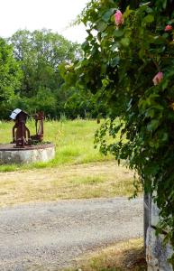 Maisons de vacances Maison d'une chambre avec jardin a Concremiers : photos des chambres