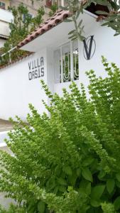 Villa Oasis