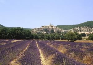 Villas Maison Coquelicot - Mas de bel Air : photos des chambres