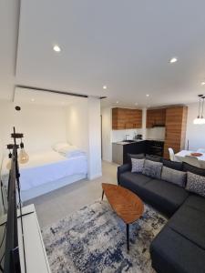 Appartements Le Bel Air - Studio Annecy : photos des chambres