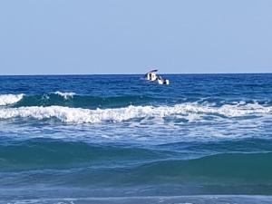 Appartements MARSEILLAN-PLAGE Appartement Coeur de sable : photos des chambres