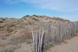 Appartements MARSEILLAN-PLAGE Appartement Coeur de sable : photos des chambres