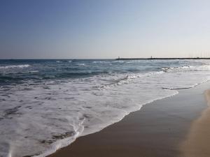 Appartements MARSEILLAN-PLAGE Appartement Coeur de sable : photos des chambres