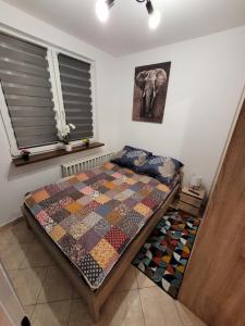 Apartament Leon