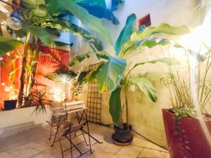 Appartements Votre Escale Jungle Sauna & Spa : photos des chambres