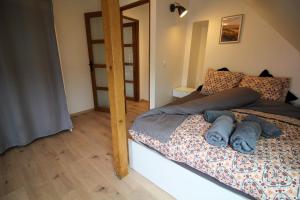 Appartements Au toit de l’Alsace - Loft au pied des Vosges : photos des chambres