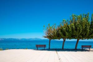 Lavish & Spacious APT with Stunning Seaview, 10 Min ATH Airport
