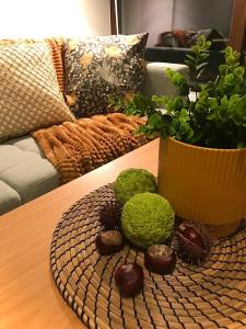 Erkel 19 Apartmanház