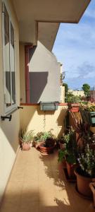 La casa delle tortamele