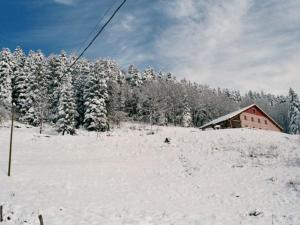 Maisons de vacances Gite Vagney, 5 pieces, 8 personnes - FR-1-589-227 : photos des chambres