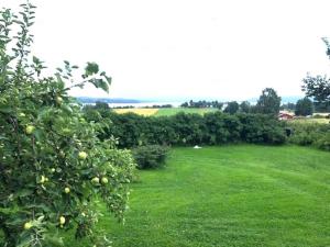 Charming Red Farmhouse Near Forsheda