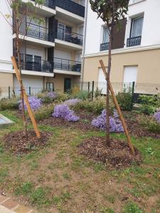 Appartements SPA Detente jacuzzi cinema farniente : Appartement