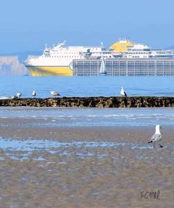 Maisons de vacances Le P'tit Torceen proche de Dieppe par Com'en Normandie : photos des chambres