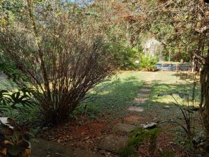 Casa de campo serrana, alegre e com piscina