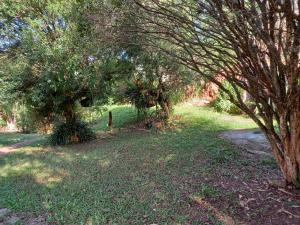 Casa de campo serrana, alegre e com piscina